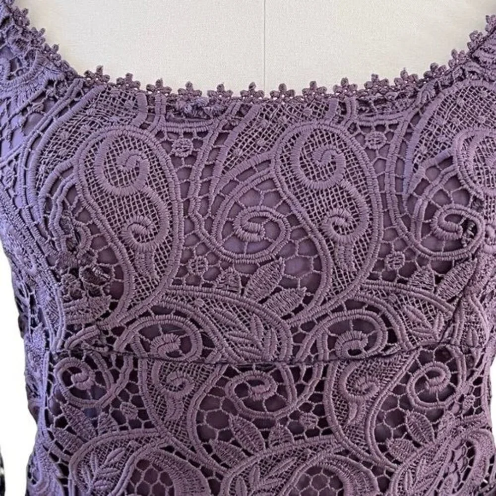 Anthropologie Maeve Embroidered Lace Mini Dress Size 2 NWOT